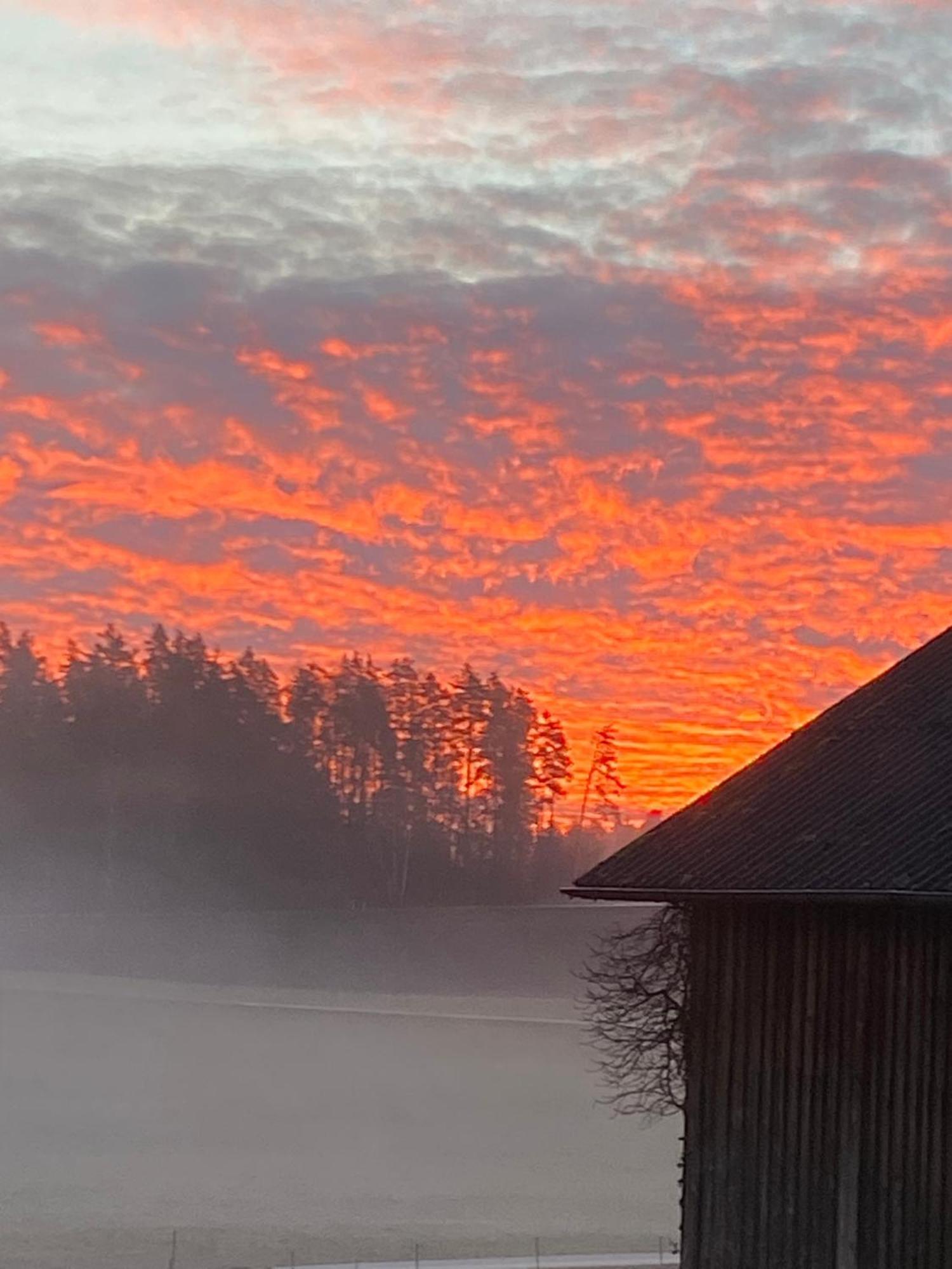 Baerenhof Leilighet Tirschenreuth Eksteriør bilde