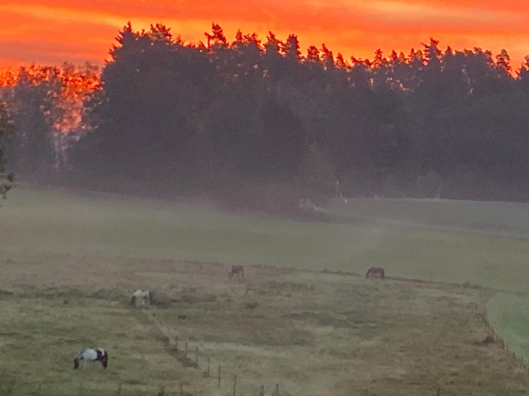 Baerenhof Leilighet Tirschenreuth Eksteriør bilde